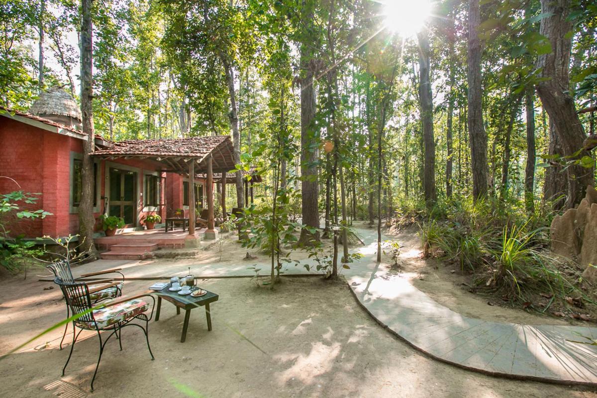 Kanha Jungle Lodge Dhanwār Exteriör bild